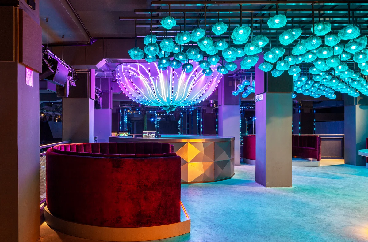 Discoteca Carola Morena